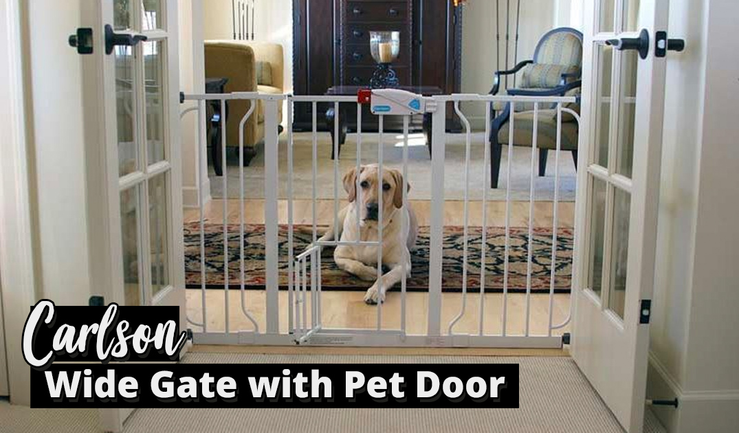 Best baby gate with pet door