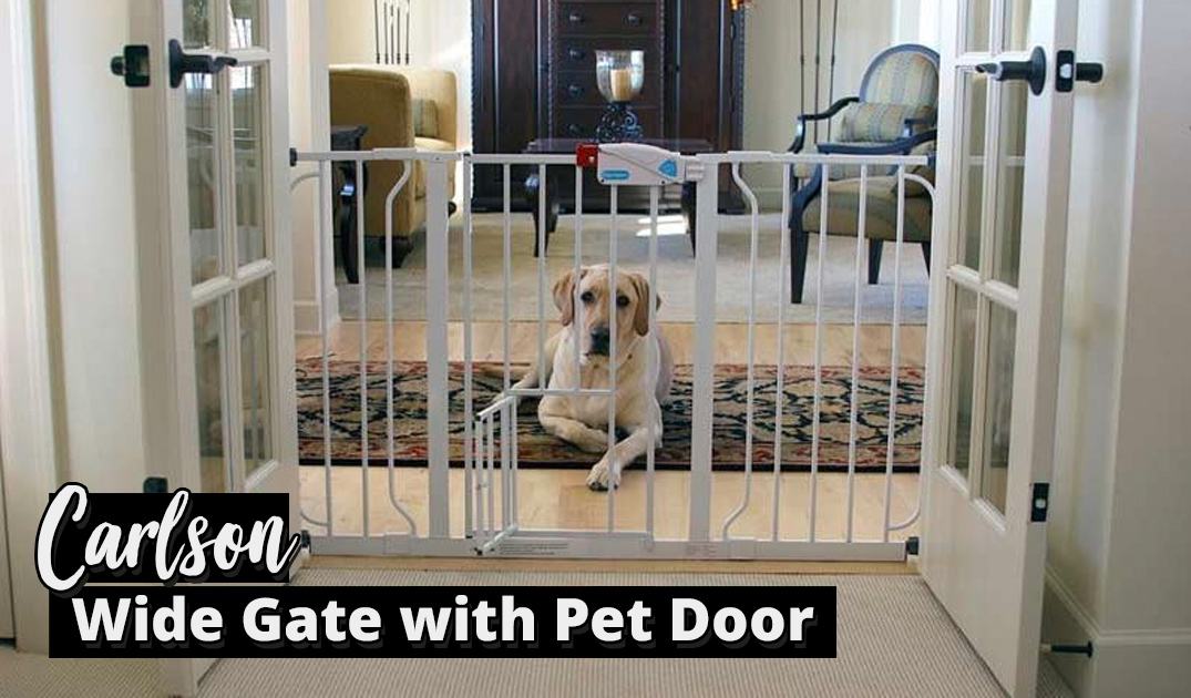 baby gates for patio doors