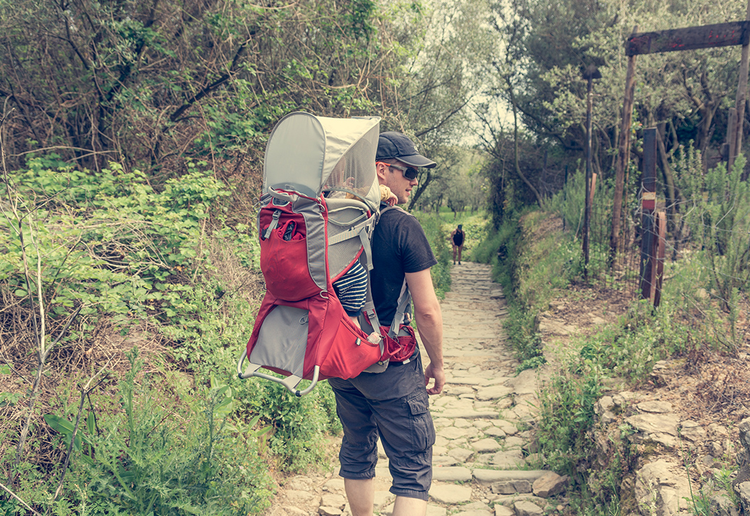 Shopping For A Hiking Carrier Shopping For A Hiking Carrier