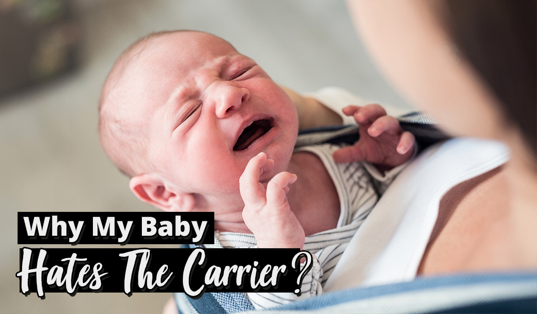 baby hates baby carrier
